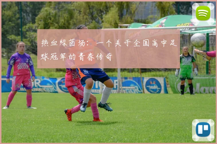 热血绿茵场：一个关于全国高中足球冠军的青春传奇